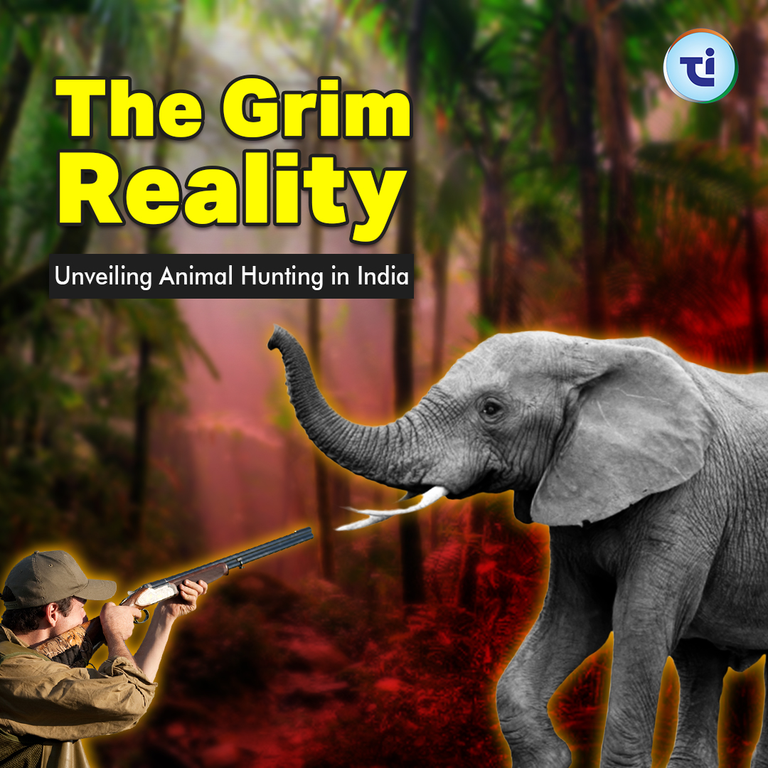 The Brutal Reality Of Animal Hunting in India